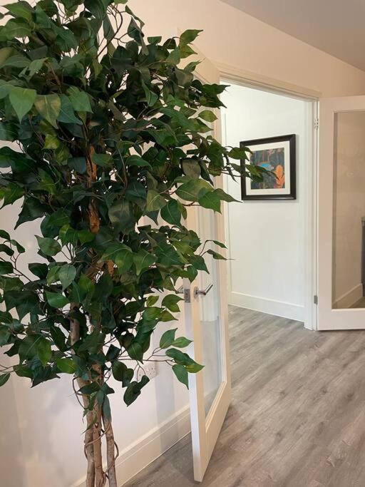 Stunning And Spacious 2Bed Flat In Central Woking Esterno foto